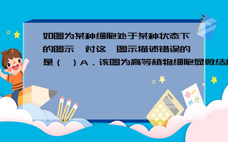 如图为某种细胞处于某种状态下的图示,对这一图示描述错误的是（ ）A．该图为高等植物细胞显微结构B．该细胞失水过程中,①内充满了一种大于⑥内浓度的溶液C．④与⑤结构是该细胞能量