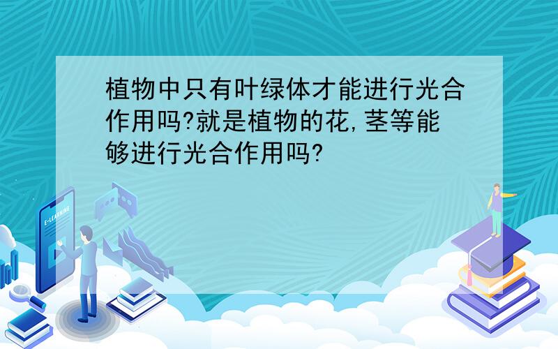 植物中只有叶绿体才能进行光合作用吗?就是植物的花,茎等能够进行光合作用吗?