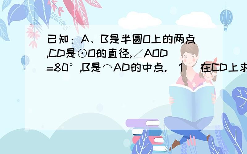 已知：A、B是半圆O上的两点,CD是⊙O的直径,∠AOD=80°,B是⌒AD的中点.（1） 在CD上求做一点P,使得AP+PB最短； （2） 若CD=4cm,求AP+PB的最小值.