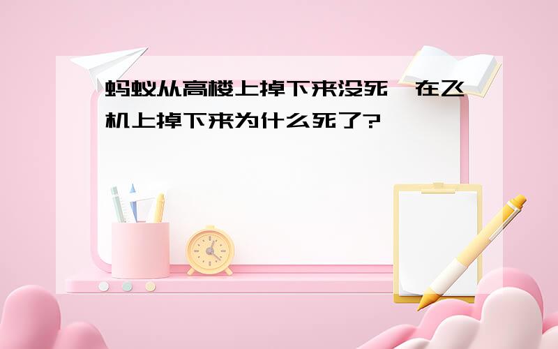 蚂蚁从高楼上掉下来没死,在飞机上掉下来为什么死了?