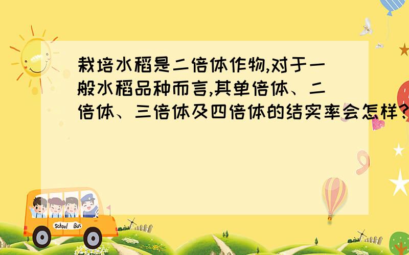 栽培水稻是二倍体作物,对于一般水稻品种而言,其单倍体、二倍体、三倍体及四倍体的结实率会怎样?为什么