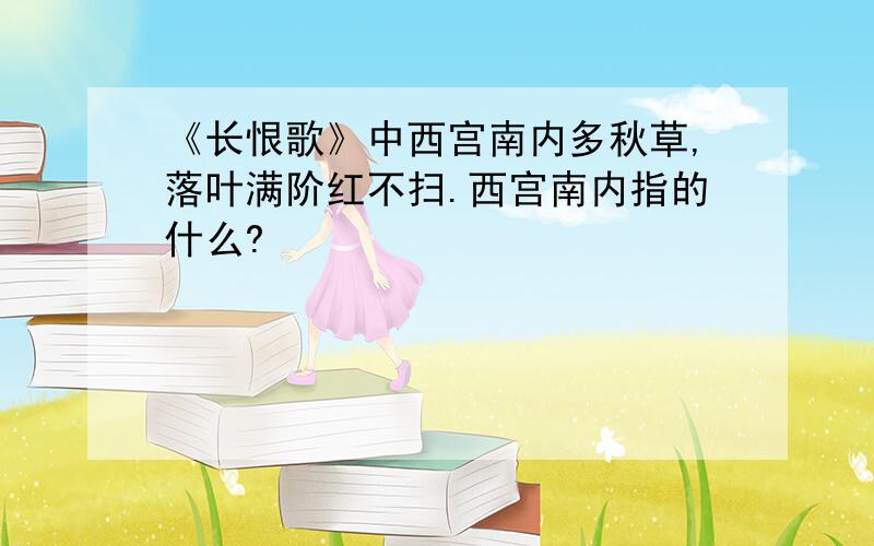 《长恨歌》中西宫南内多秋草,落叶满阶红不扫.西宫南内指的什么?