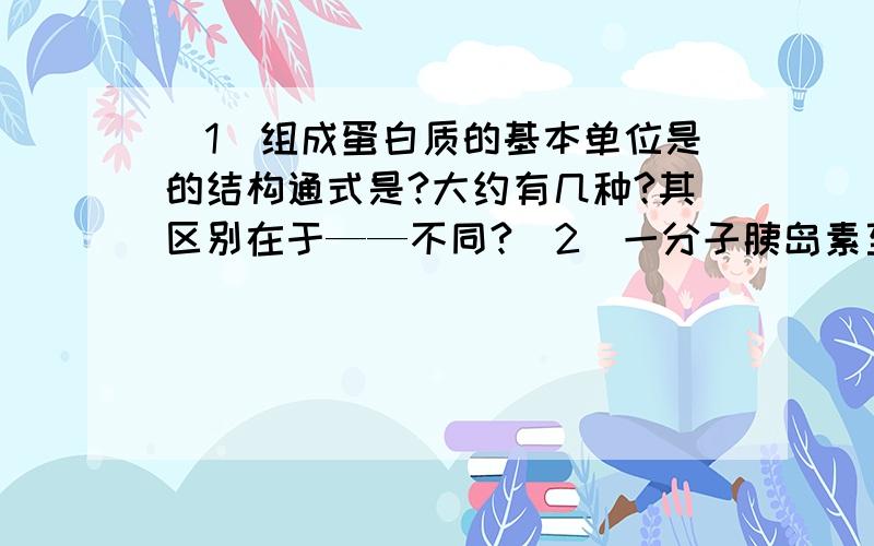 （1）组成蛋白质的基本单位是的结构通式是?大约有几种?其区别在于——不同?（2）一分子胰岛素至少含有——个氨基和——俊基. 胰岛素含有肽键几个?肽键的结构简式是?组成蛋白质的主要