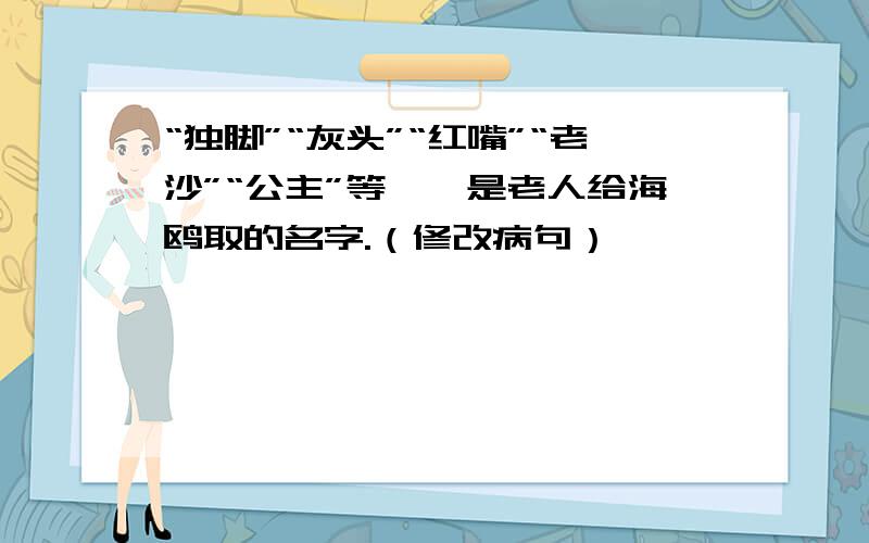 “独脚”“灰头”“红嘴”“老沙”“公主”等……是老人给海鸥取的名字.（修改病句）