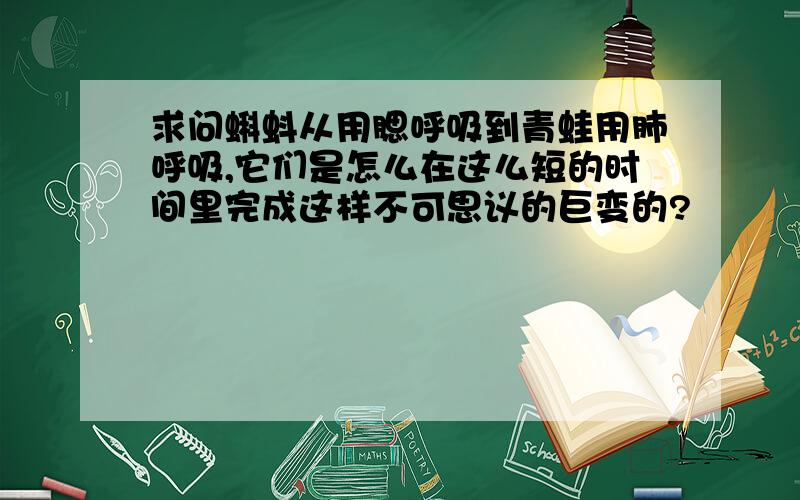 求问蝌蚪从用腮呼吸到青蛙用肺呼吸,它们是怎么在这么短的时间里完成这样不可思议的巨变的?