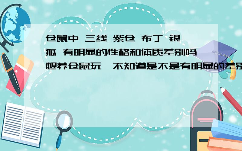 仓鼠中 三线 紫仓 布丁 银狐 有明显的性格和体质差别吗想养仓鼠玩,不知道是不是有明显的差别啊,有人说三线野,布丁体质差.