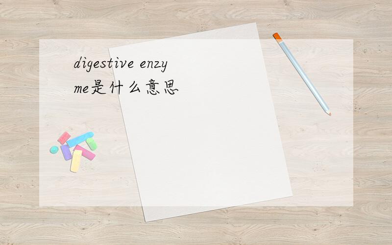 digestive enzyme是什么意思