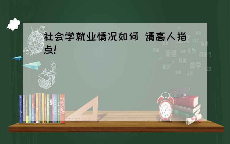 社会学就业情况如何 请高人指点!