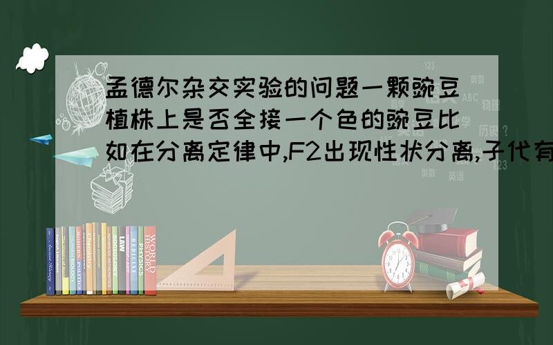 孟德尔杂交实验的问题一颗豌豆植株上是否全接一个色的豌豆比如在分离定律中,F2出现性状分离,子代有黄粒有绿粒,是一颗植株上全解黄粒OR全结皱粒还是一颗植株上有黄有绿如果亲本豌豆植