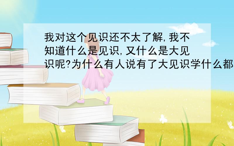 我对这个见识还不太了解,我不知道什么是见识,又什么是大见识呢?为什么有人说有了大见识学什么都快呢?