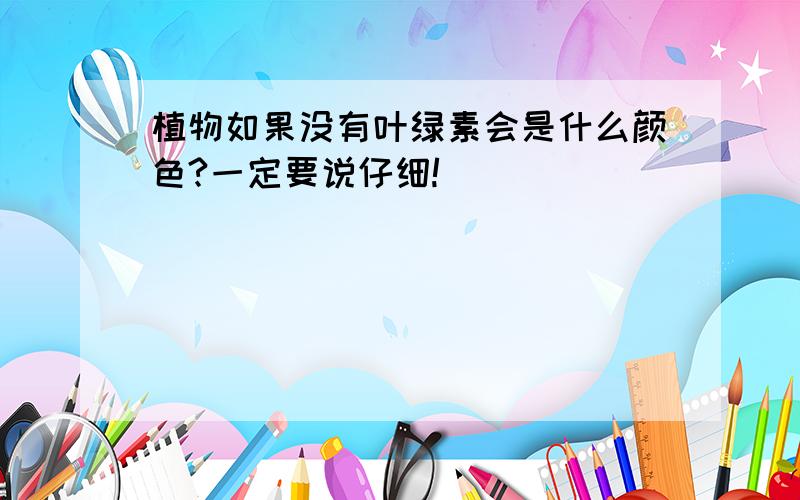 植物如果没有叶绿素会是什么颜色?一定要说仔细!