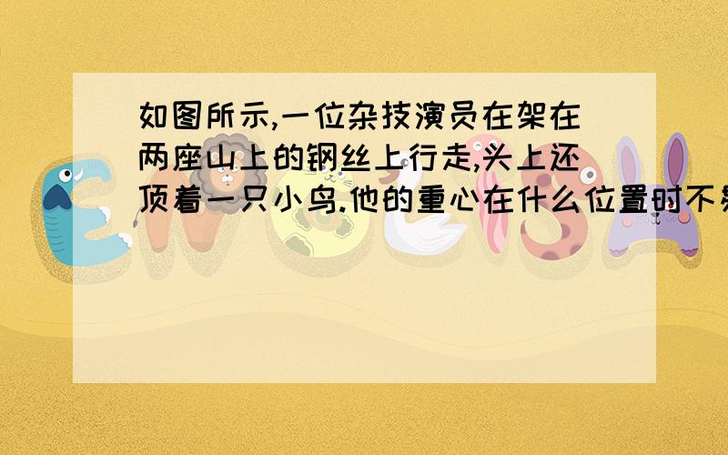 如图所示,一位杂技演员在架在两座山上的钢丝上行走,头上还顶着一只小鸟.他的重心在什么位置时不易倾倒