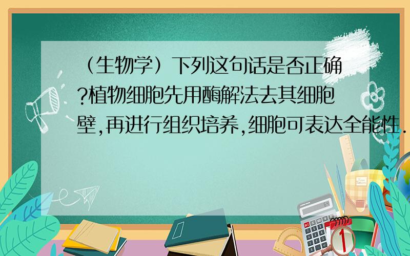 （生物学）下列这句话是否正确?植物细胞先用酶解法去其细胞壁,再进行组织培养,细胞可表达全能性.