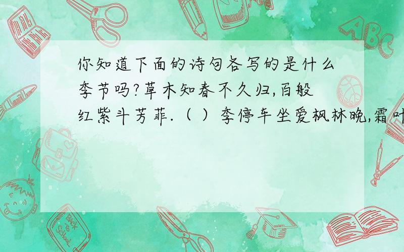 你知道下面的诗句各写的是什么季节吗?草木知春不久归,百般红紫斗芳菲.（ ）季停车坐爱枫林晚,霜叶红于二月花.（ ）季梅子黄时日日晴,小溪泛尽却先行.（ ）季荷尽已无擎雨盖,菊残犹有