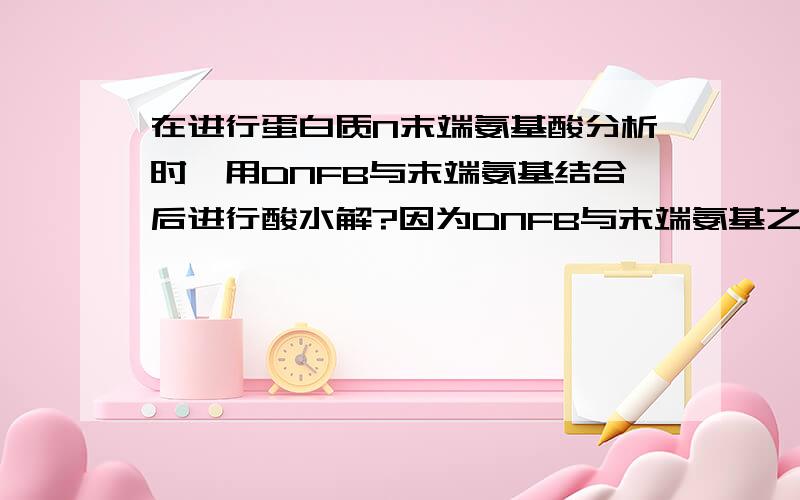 在进行蛋白质N末端氨基酸分析时,用DNFB与末端氨基结合后进行酸水解?因为DNFB与末端氨基之间的键比肽键稳定,所以肽键解离了,而它没解离.我就问,假如这时候溶液中还有DNFB会不会还和解离出