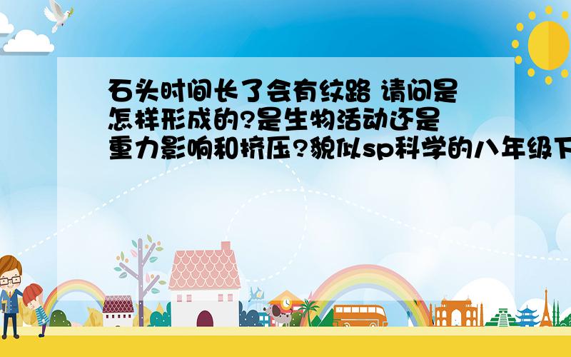 石头时间长了会有纹路 请问是怎样形成的?是生物活动还是 重力影响和挤压?貌似sp科学的八年级下第三章1——3节测试里面有这样一道题目,请给出准确的答案,