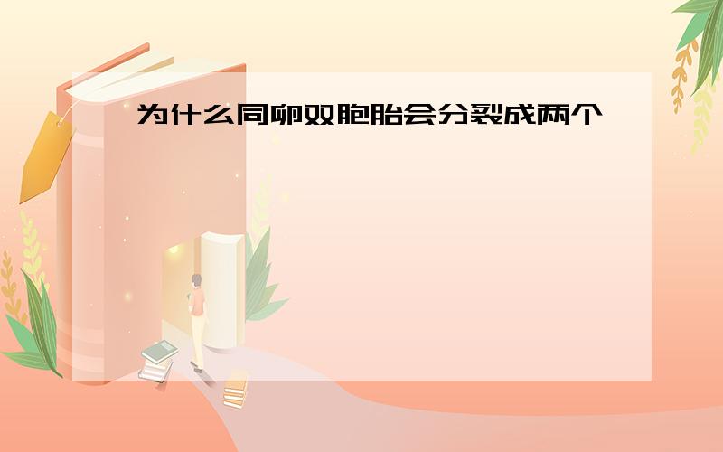 为什么同卵双胞胎会分裂成两个