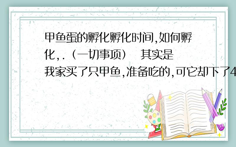 甲鱼蛋的孵化孵化时间,如何孵化,.（一切事项）  其实是我家买了只甲鱼,准备吃的,可它却下了4个蛋!