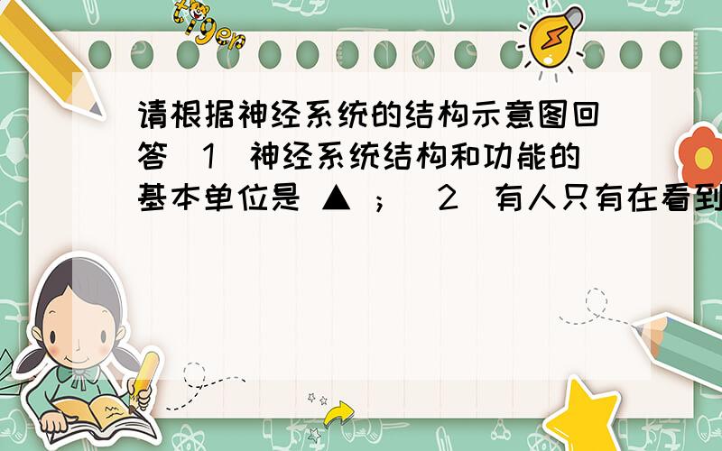 请根据神经系统的结构示意图回答（1）神经系统结构和功能的基本单位是 ▲ ；（2）有人只有在看到自己下肢的情况下,才知道下肢的具体活动情况,则此人可能的损伤部位是 ▲ （填字母）