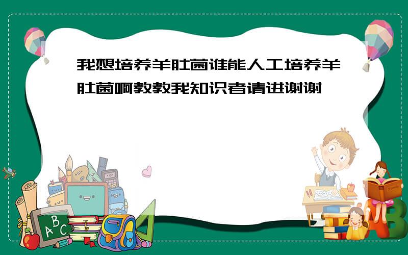 我想培养羊肚菌谁能人工培养羊肚菌啊教教我知识者请进谢谢