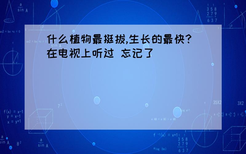 什么植物最挺拔,生长的最快?在电视上听过 忘记了