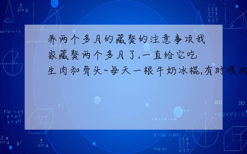 养两个多月的藏獒的注意事项我家藏獒两个多月了,一直给它吃生肉和骨头~每天一根牛奶冰棍,有时喂狗粮应该给它吃什么?注意什么事项呢?怎么训它?几个月大才能给它洗澡呢?它现在什么东西