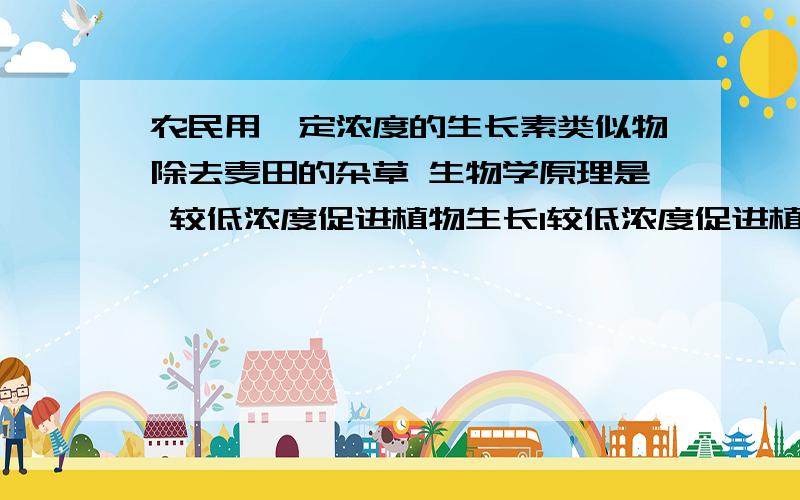 农民用一定浓度的生长素类似物除去麦田的杂草 生物学原理是 较低浓度促进植物生长1较低浓度促进植物生长2较高浓度促进植物生长3过低浓度抑制植物生长4过高浓度抑制植物生长答案是第