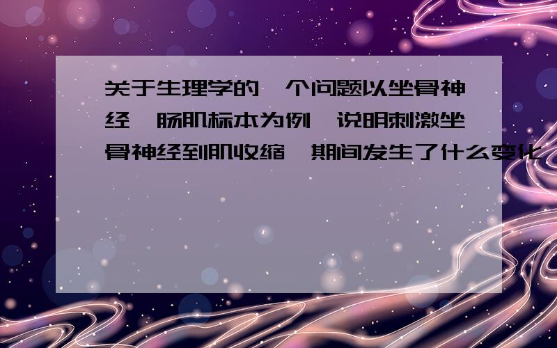 关于生理学的一个问题以坐骨神经腓肠肌标本为例,说明刺激坐骨神经到肌收缩,期间发生了什么变化,说明机制