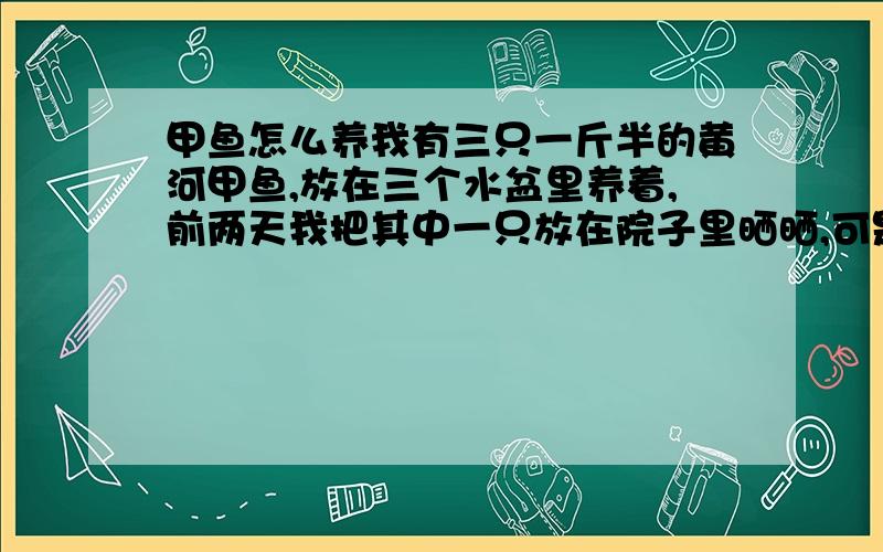 甲鱼怎么养我有三只一斤半的黄河甲鱼,放在三个水盆里养着,前两天我把其中一只放在院子里晒晒,可是不小心被晒死了.我想问下,在院子里用什么东西盛放它好呢?水深要多少?夏天用东西挡住