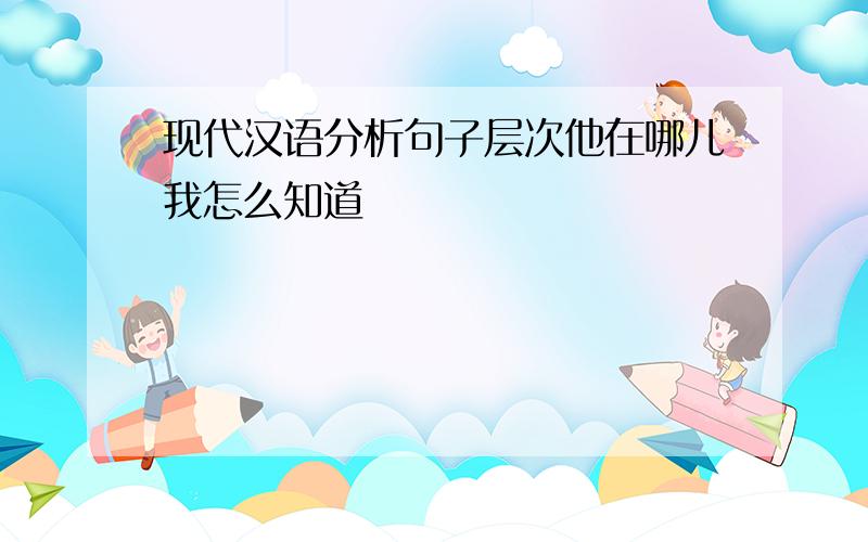 现代汉语分析句子层次他在哪儿我怎么知道