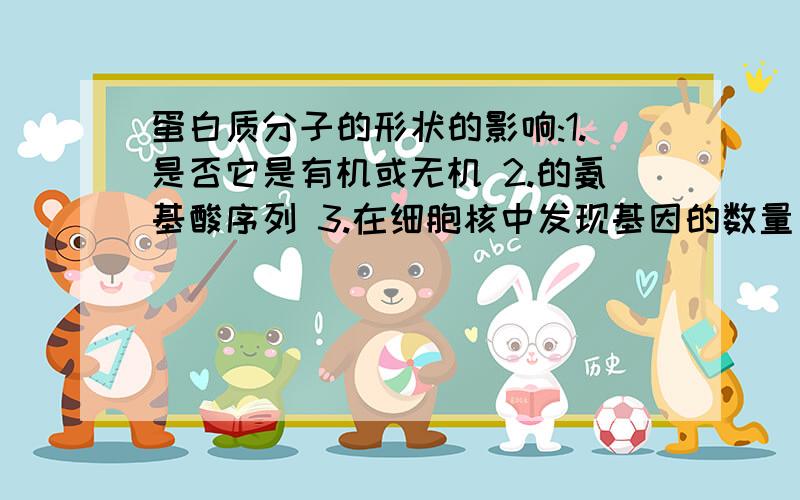 蛋白质分子的形状的影响:1.是否它是有机或无机 2.的氨基酸序列 3.在细胞核中发现基因的数量 4.细胞中染色体的数目