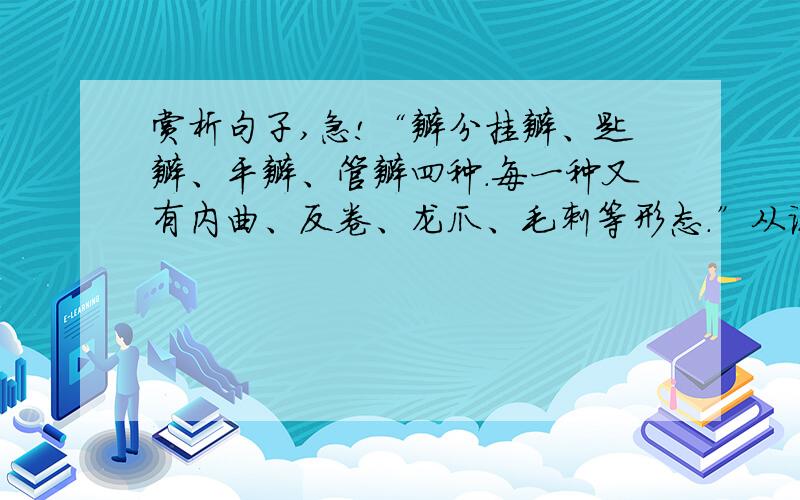 赏析句子,急!“瓣分挂瓣、匙瓣、平瓣、管瓣四种.每一种又有内曲、反卷、龙爪、毛刺等形态.”从说明方法角度赏析第二段画线句子.（就是上面那个句子）答：______________________________________