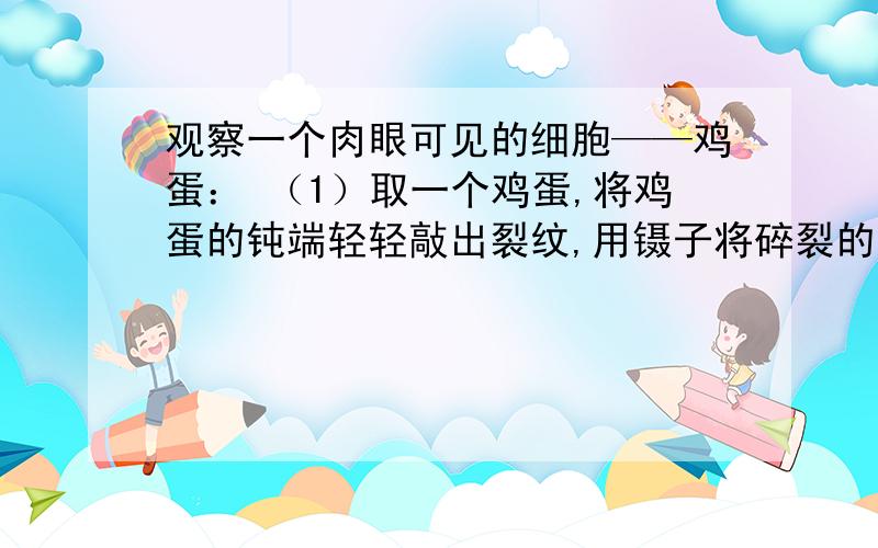 观察一个肉眼可见的细胞——鸡蛋： （1）取一个鸡蛋,将鸡蛋的钝端轻轻敲出裂纹,用镊子将碎裂的卵壳除去观察一个肉眼可见的细胞——鸡蛋：（1）取一个鸡蛋,将鸡蛋的钝端轻轻敲出裂纹,