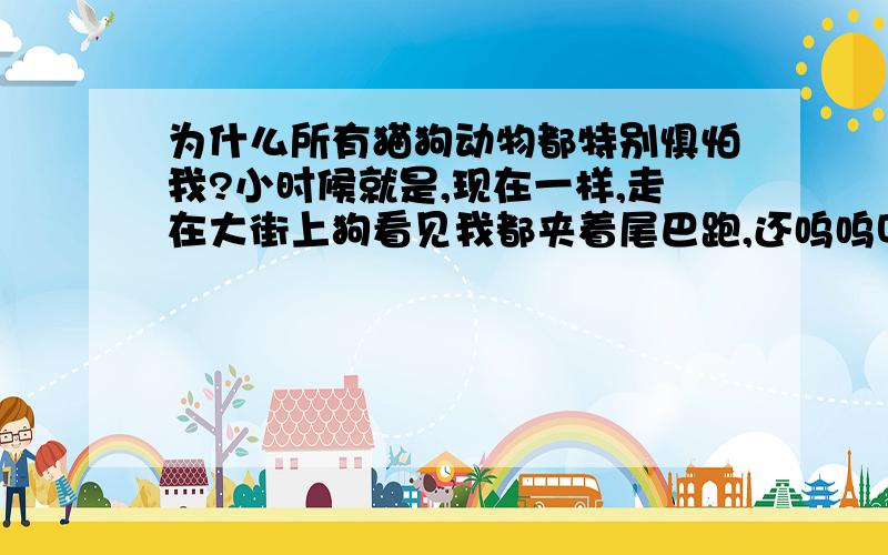 为什么所有猫狗动物都特别惧怕我?小时候就是,现在一样,走在大街上狗看见我都夹着尾巴跑,还呜呜叫着,动物园里猴子看见我也特别的老实,也是乱叫?