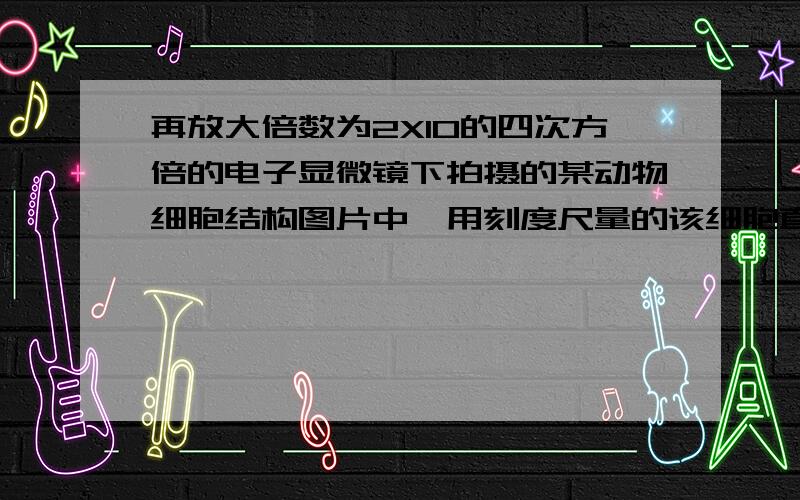 再放大倍数为2X10的四次方倍的电子显微镜下拍摄的某动物细胞结构图片中,用刻度尺量的该细胞直径为1.6cm则该细胞的实际直径约为多少?