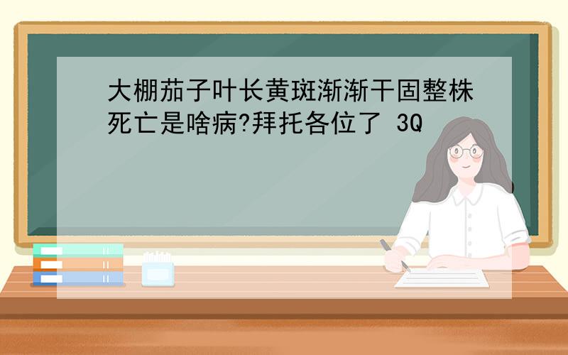 大棚茄子叶长黄斑渐渐干固整株死亡是啥病?拜托各位了 3Q