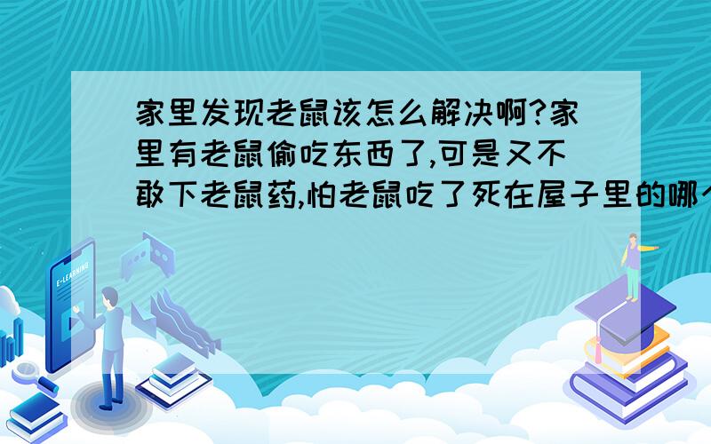 家里发现老鼠该怎么解决啊?家里有老鼠偷吃东西了,可是又不敢下老鼠药,怕老鼠吃了死在屋子里的哪个角落,太脏,该怎么解决呢?