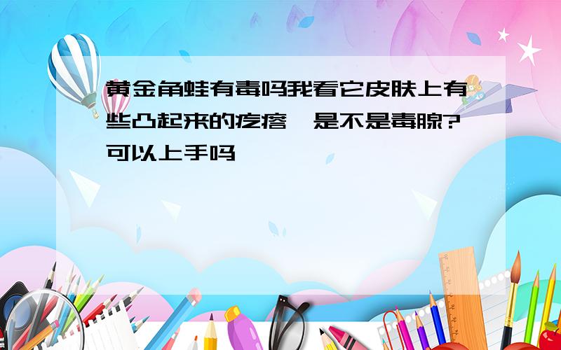 黄金角蛙有毒吗我看它皮肤上有些凸起来的疙瘩,是不是毒腺?可以上手吗