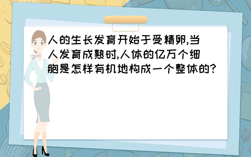 人的生长发育开始于受精卵,当人发育成熟时,人体的亿万个细胞是怎样有机地构成一个整体的?