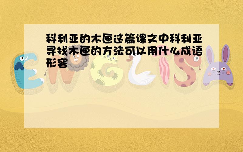 科利亚的木匣这篇课文中科利亚寻找木匣的方法可以用什么成语形容