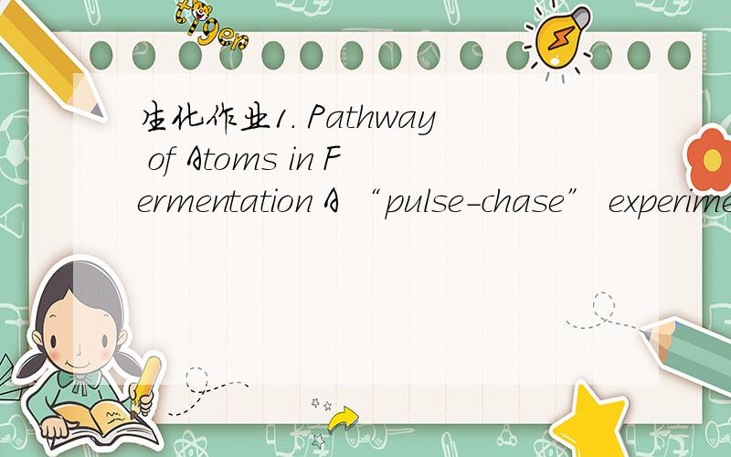 生化作业1. Pathway of Atoms in Fermentation A “pulse-chase” experiment using 14C-labeled carbon sources is carried out on a yeast extract maintained under strictly anaerobic conditions to produce ethanol. The experiment consists of incubating