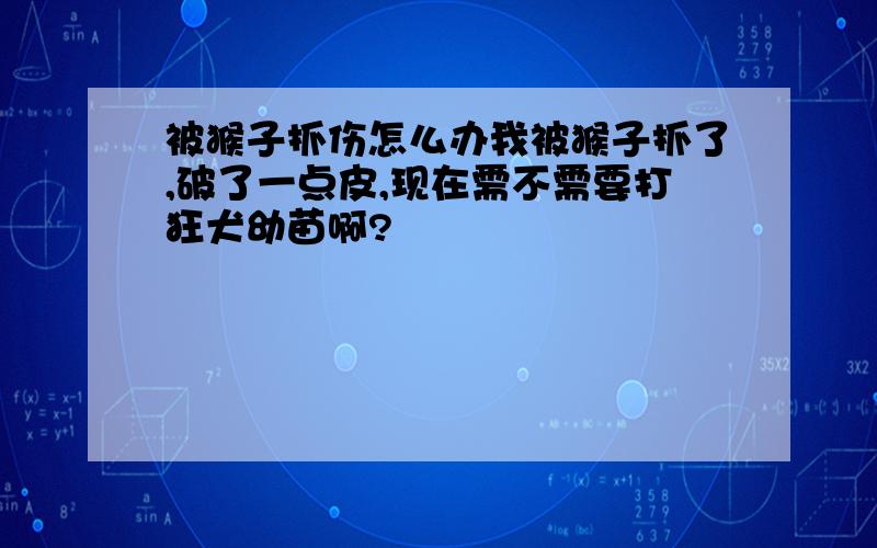 被猴子抓伤怎么办我被猴子抓了,破了一点皮,现在需不需要打狂犬幼苗啊?