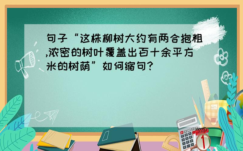 句子“这株柳树大约有两合抱粗,浓密的树叶覆盖出百十余平方米的树荫”如何缩句?