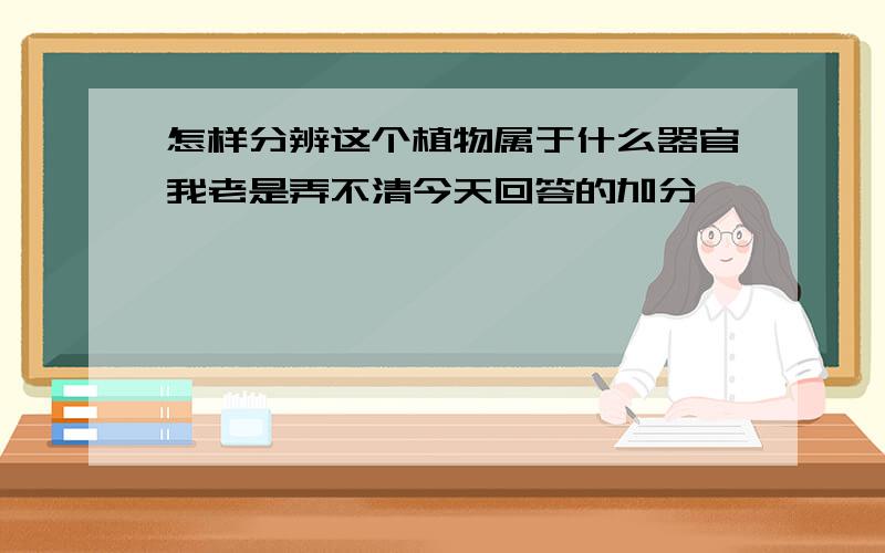 怎样分辨这个植物属于什么器官我老是弄不清今天回答的加分