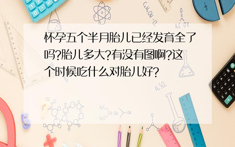 怀孕五个半月胎儿已经发育全了吗?胎儿多大?有没有图啊?这个时候吃什么对胎儿好?