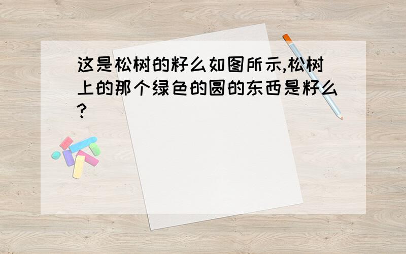 这是松树的籽么如图所示,松树上的那个绿色的圆的东西是籽么?