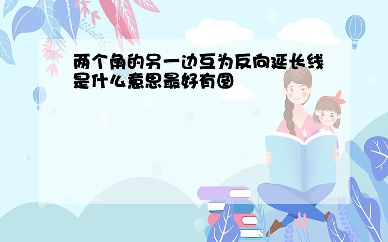 两个角的另一边互为反向延长线是什么意思最好有图