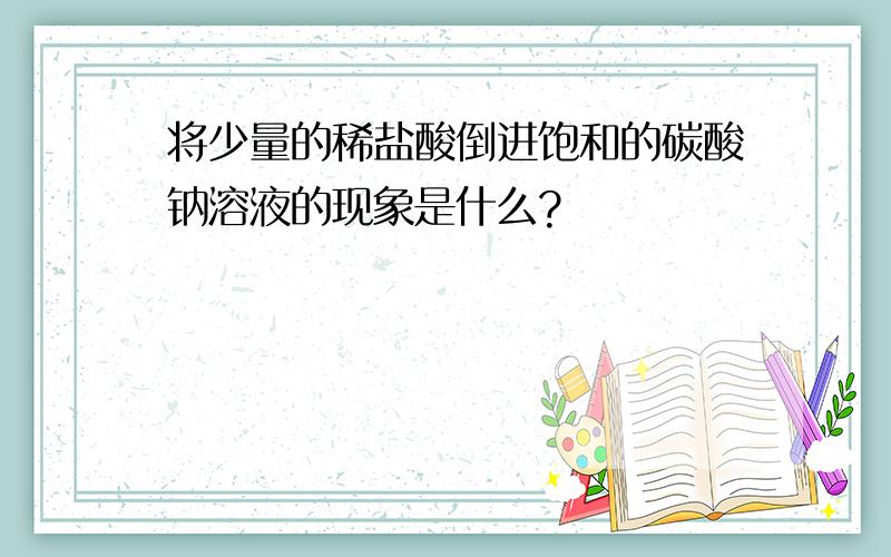 将少量的稀盐酸倒进饱和的碳酸钠溶液的现象是什么?