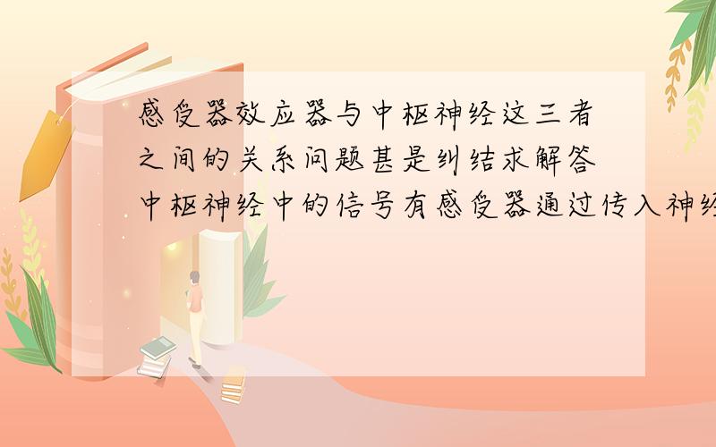 感受器效应器与中枢神经这三者之间的关系问题甚是纠结求解答中枢神经中的信号有感受器通过传入神经传来的信号,其中就包括运动感（动作信号）信号,经中枢神经处理通过传出神经向效