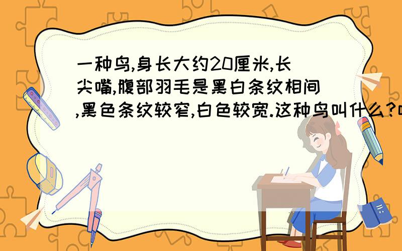 一种鸟,身长大约20厘米,长尖嘴,腹部羽毛是黑白条纹相间,黑色条纹较窄,白色较宽.这种鸟叫什么?呵呵 等级不够,没法上传图片,在植物园捡的,头部脖子伤势严重,坚持了一天了